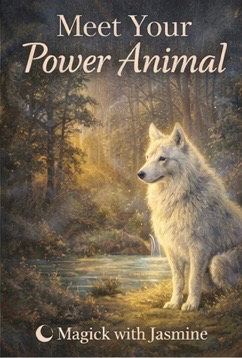 Power Animal Journey