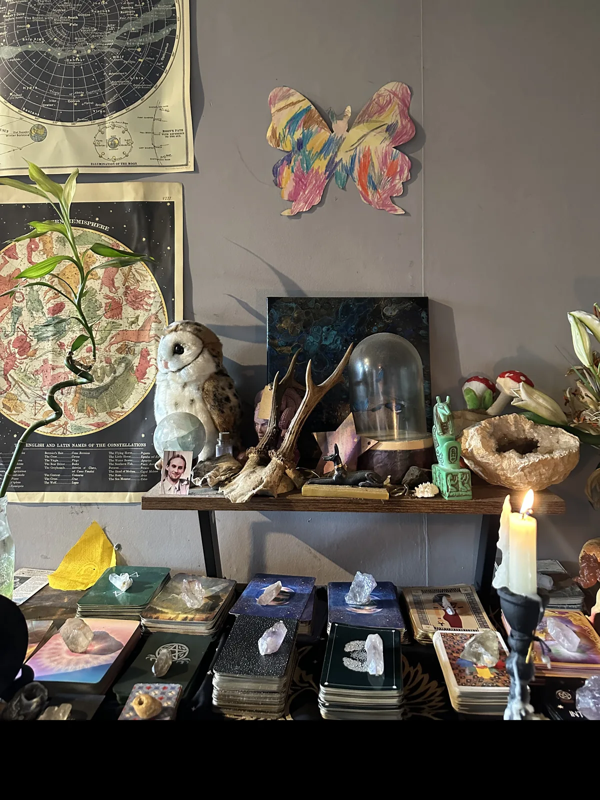 Jasmine's working shelf: vintage star charts, an owl, antlers, crystals and her tarot decks