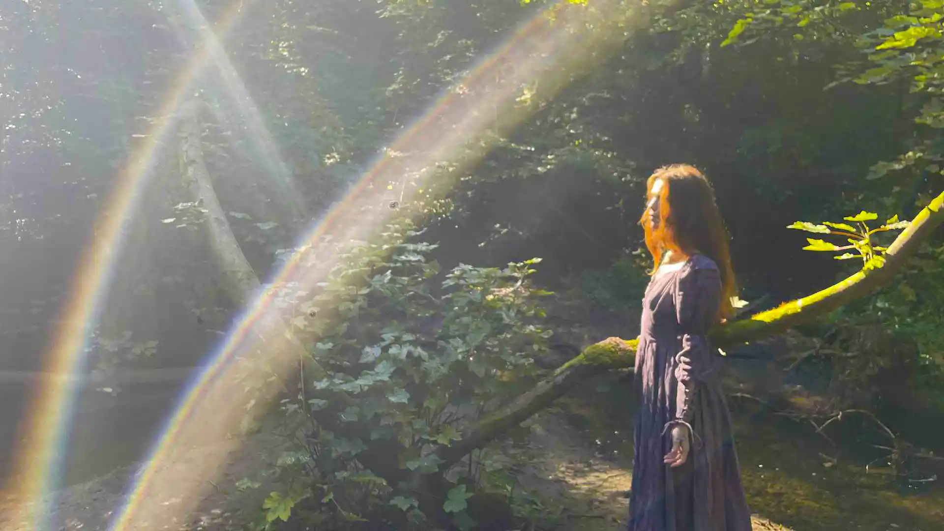 Jasmine standing quietly in a sunlit woodland, soft light falling around her