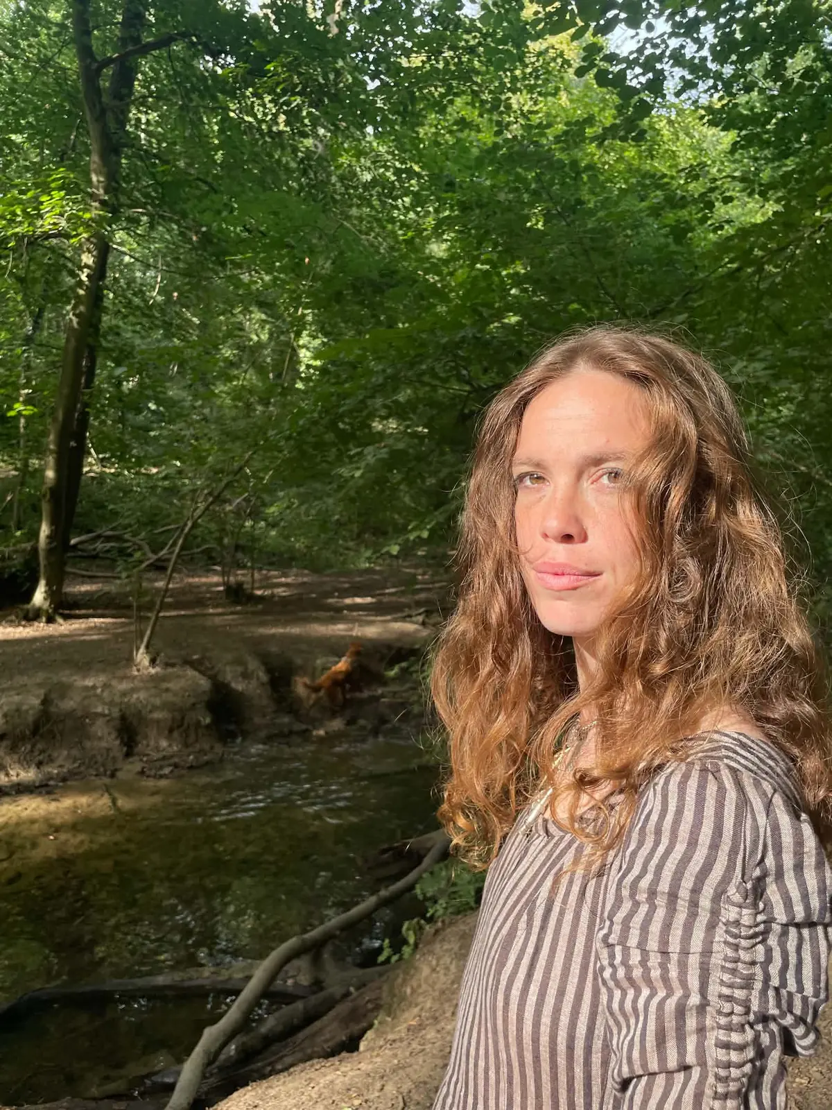 Jasmine beside a woodland stream, looking at the camera, soft afternoon light
