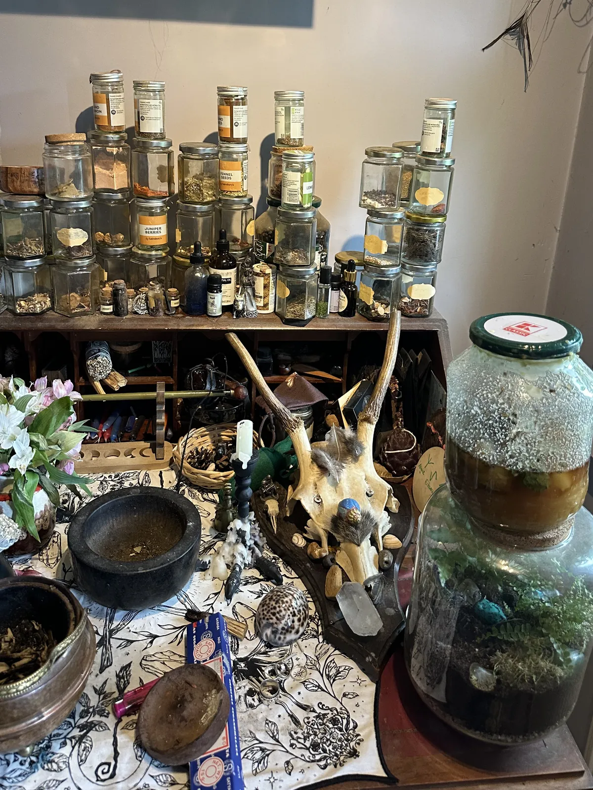 Jasmine's apothecary: shelves of labelled herb jars, a mortar and pestle, an antler skull and fresh flowers
